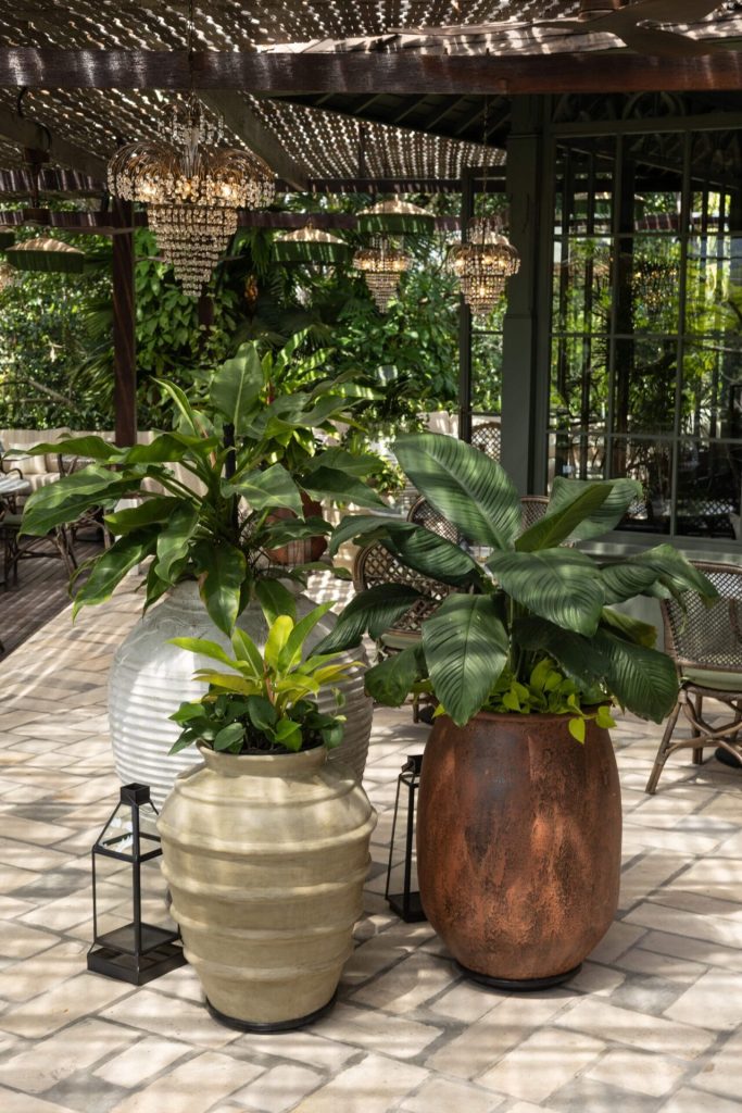 Plant Bistro (16)